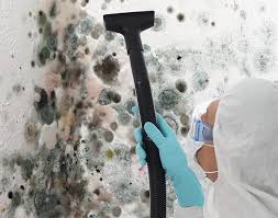 Best Air Quality Testing for Mold Spores  in USA